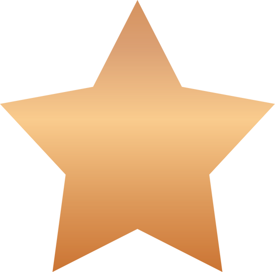 Bronze Star Icon